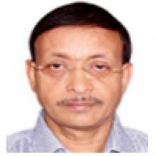 Prof. S.K. Mohanty